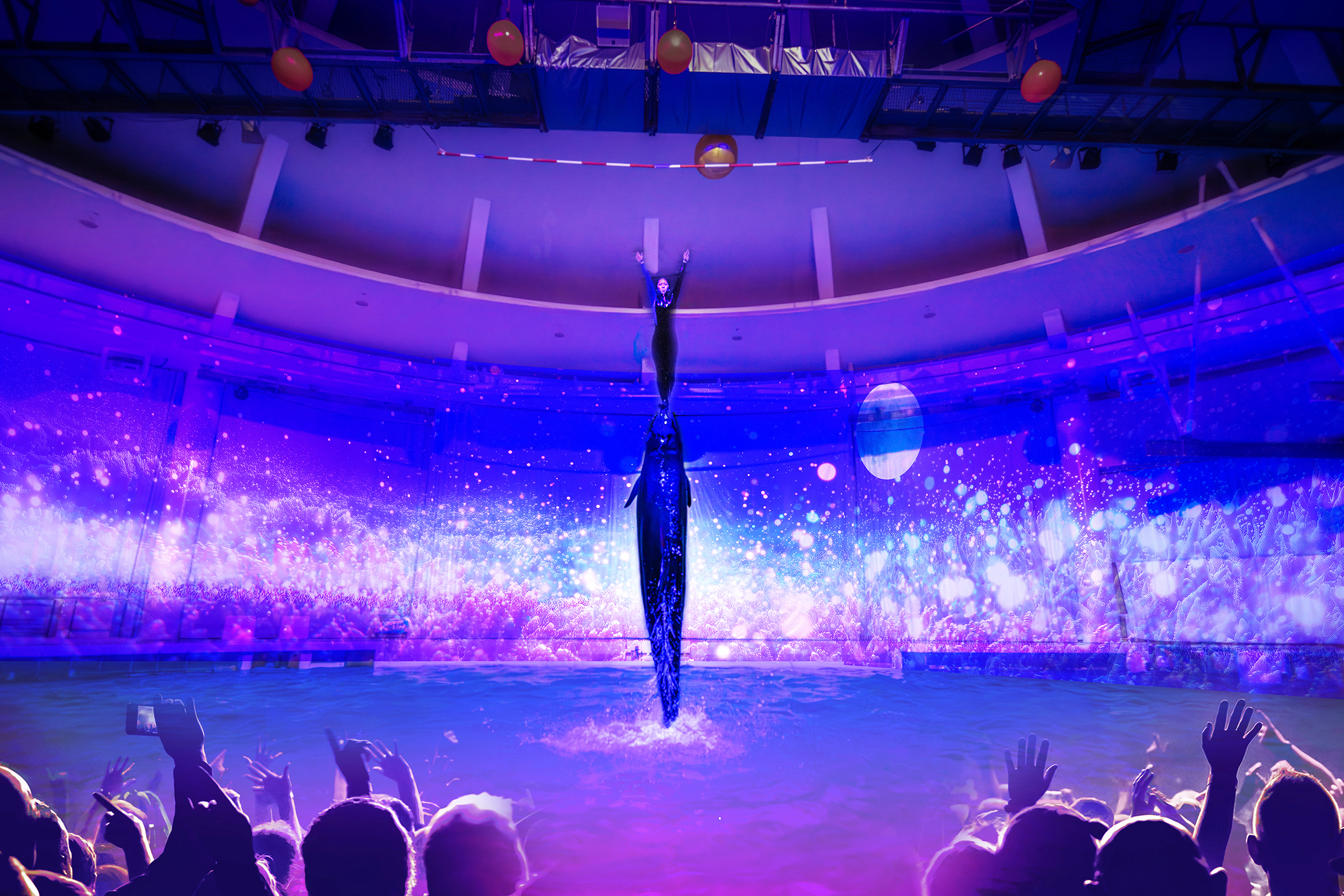 アクアワールド茨城県大洗水族館のイルカ・アシカオーシャンライブと
