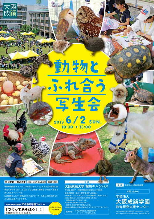 プレスリリース 大阪成蹊大学の構内に移動動物園を1日限定オープン 動物とふれ合う写生会 を開催します Digital Pr Platform 毎日新聞