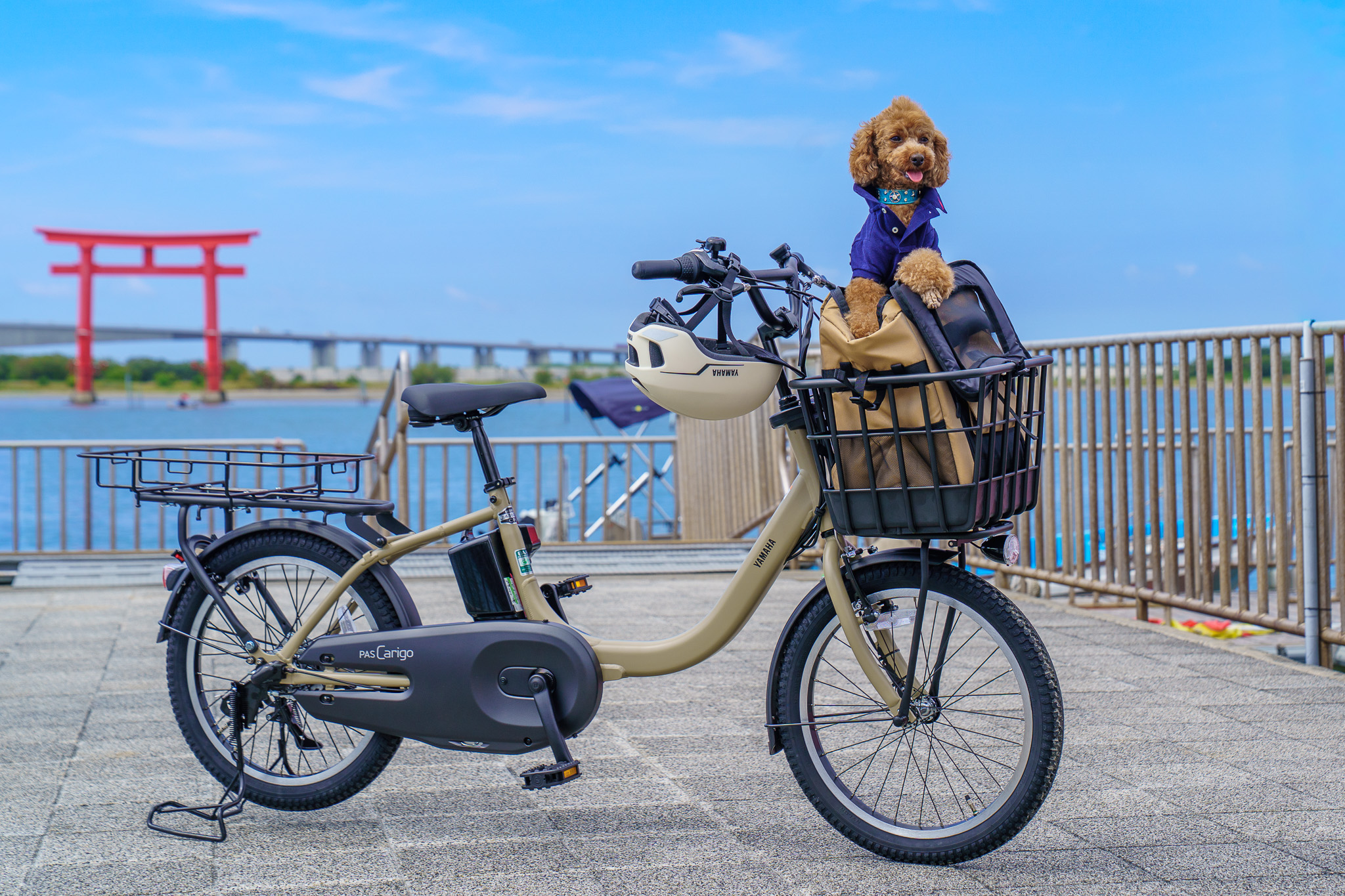 愛犬と一緒に浜名湖をサイクリング！弁天島サイクルゲートで「わんこと