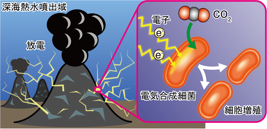 医科細菌学 横浜市立大学】深海熱水噴出域に電気エネルギーを使って増殖する細菌が