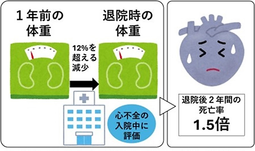 高齢心不全入院患者の体重減少が退院後の死亡のリスクを高める