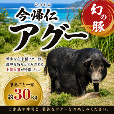 〇アグー豚大明神 幻の豚”「今帰仁アグー」がまるごと一頭（約30kg分）届くお礼品が