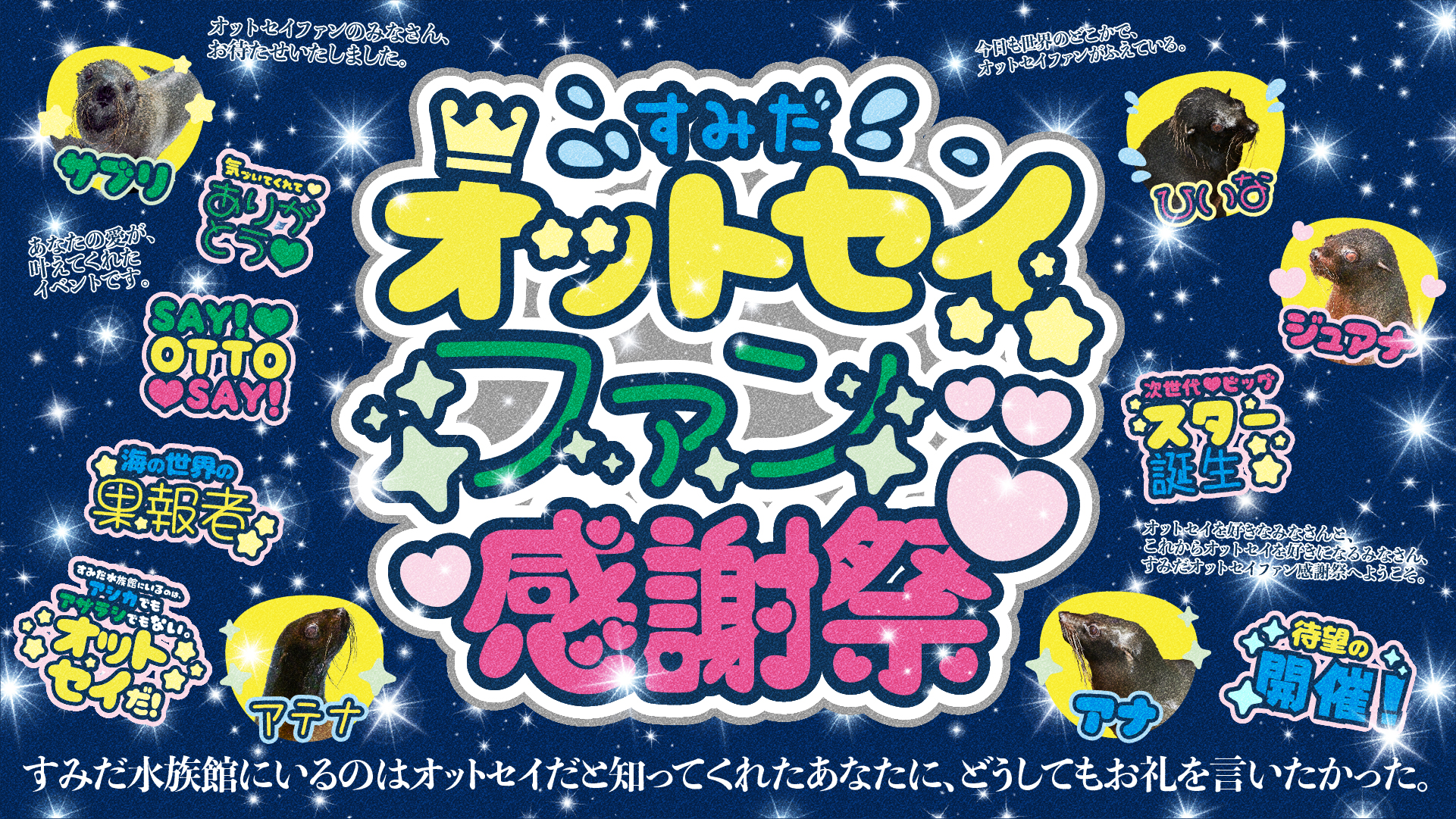 すみだ水族館】あのオットセイイベントが1年ぶりに帰ってくる!「すみだ