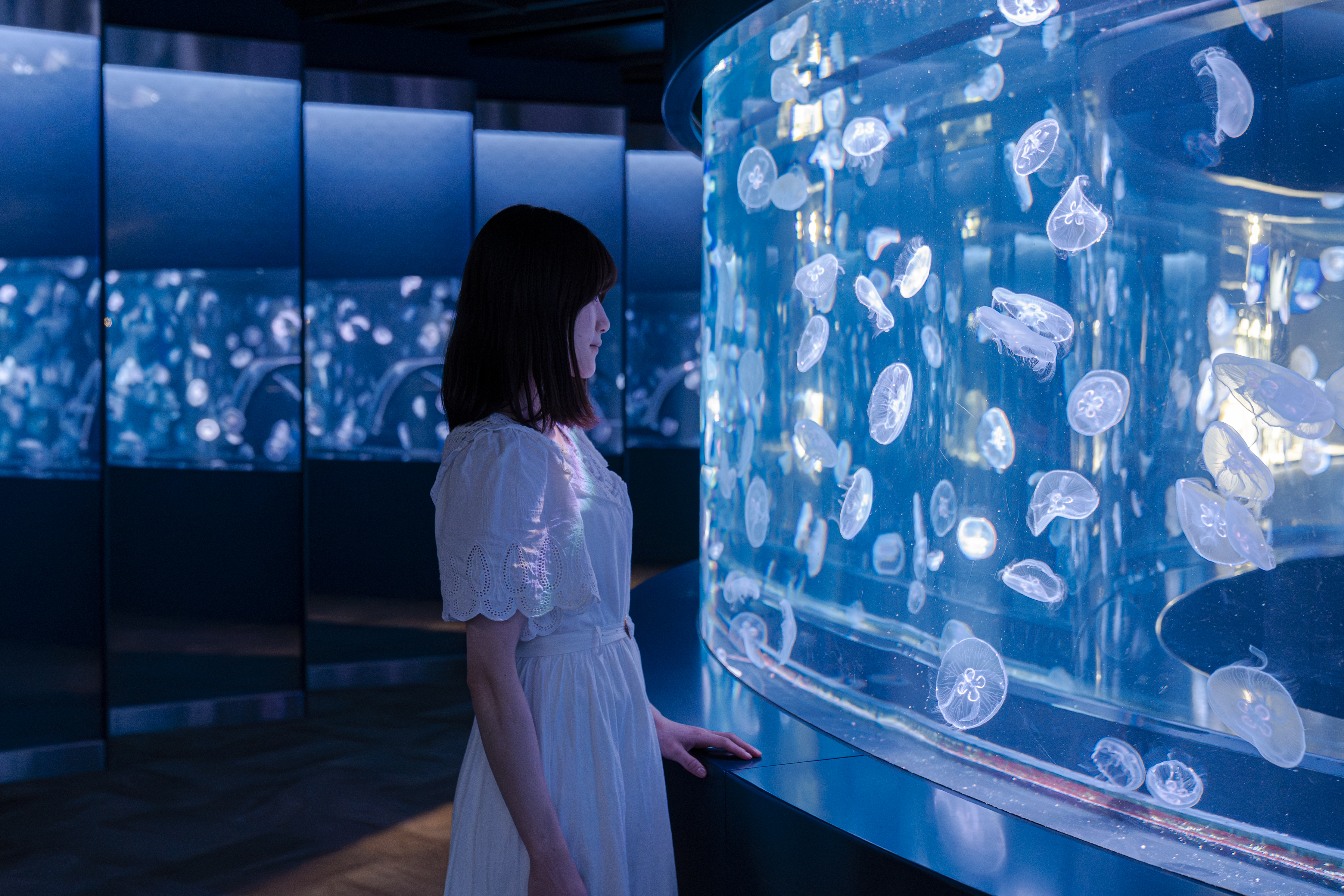 京都水族館】夏休みに先駆けて6日間限定のナイトタイム 「夜のすいぞく