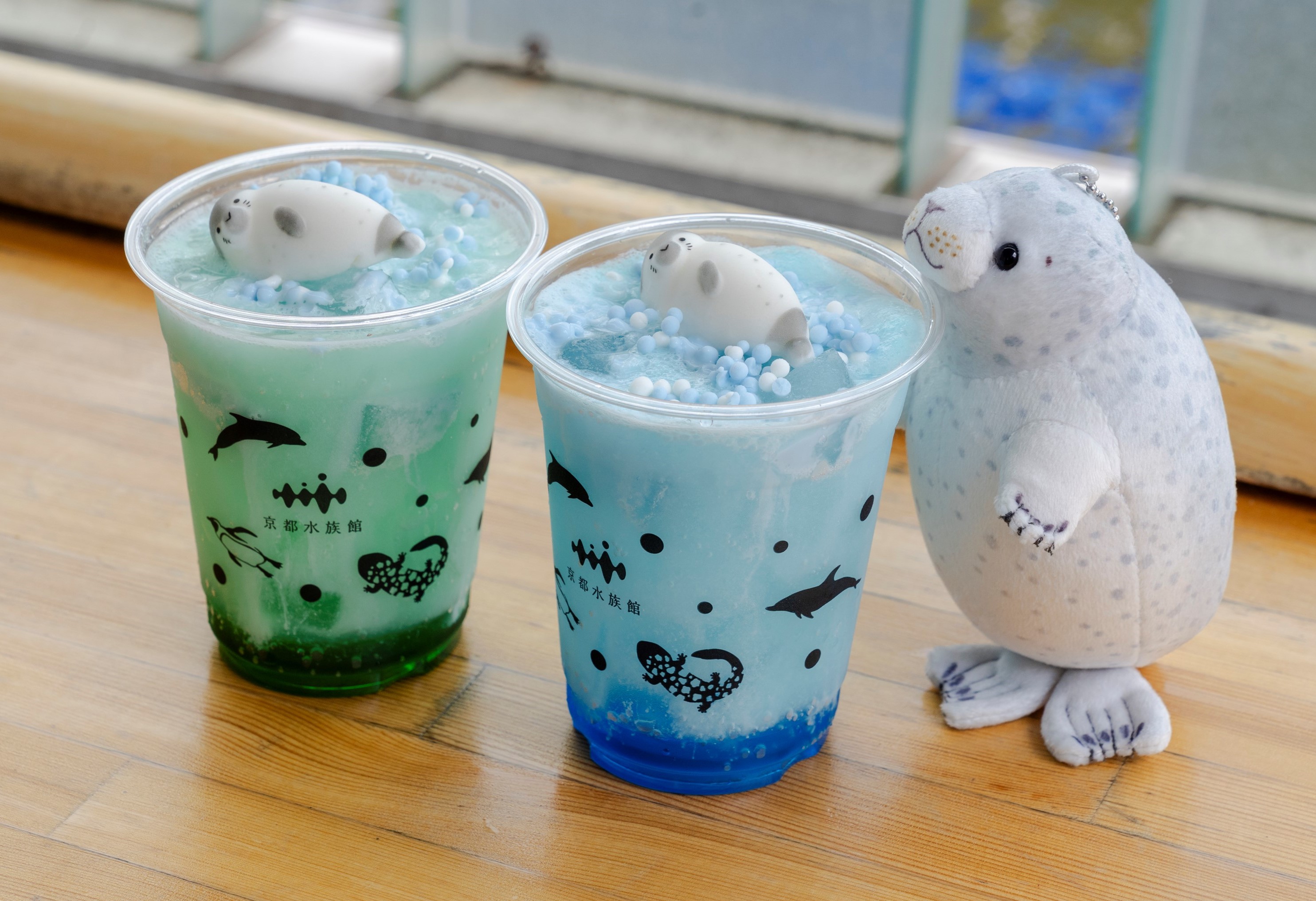 京都水族館】京都の夏はアザラシ展示でひんやり涼む!? 「アザラシ