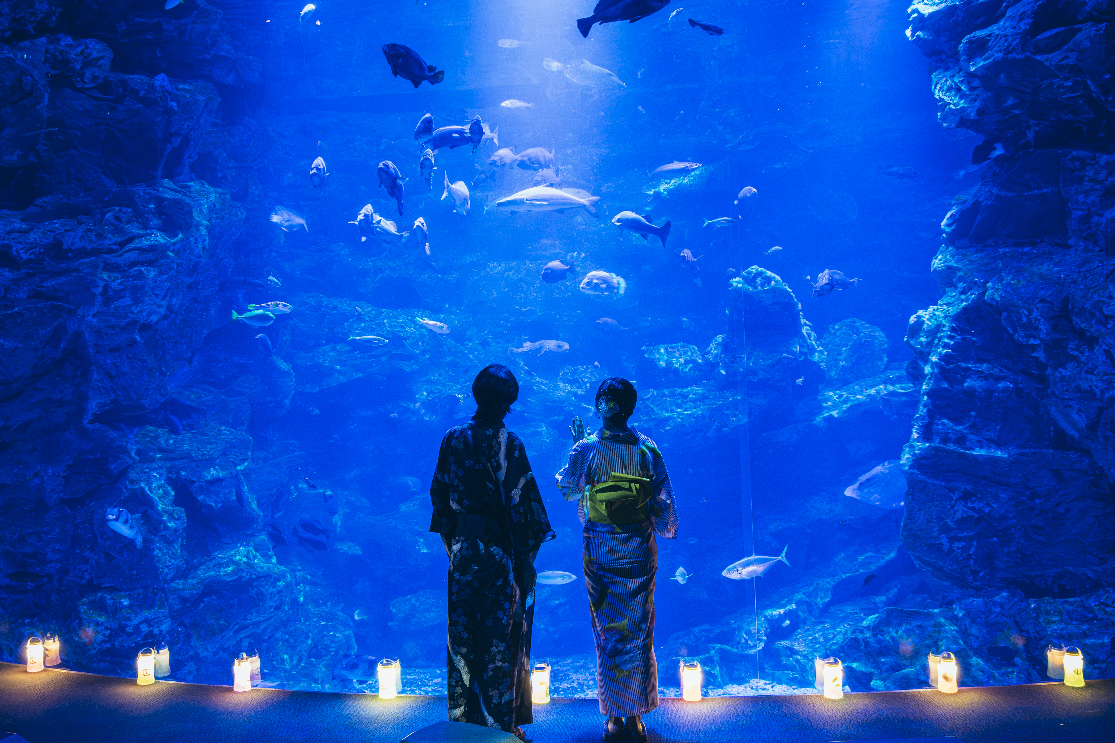 京都水族館】大人も子どももわくわくが止まらない夜更かしタイムを。7 