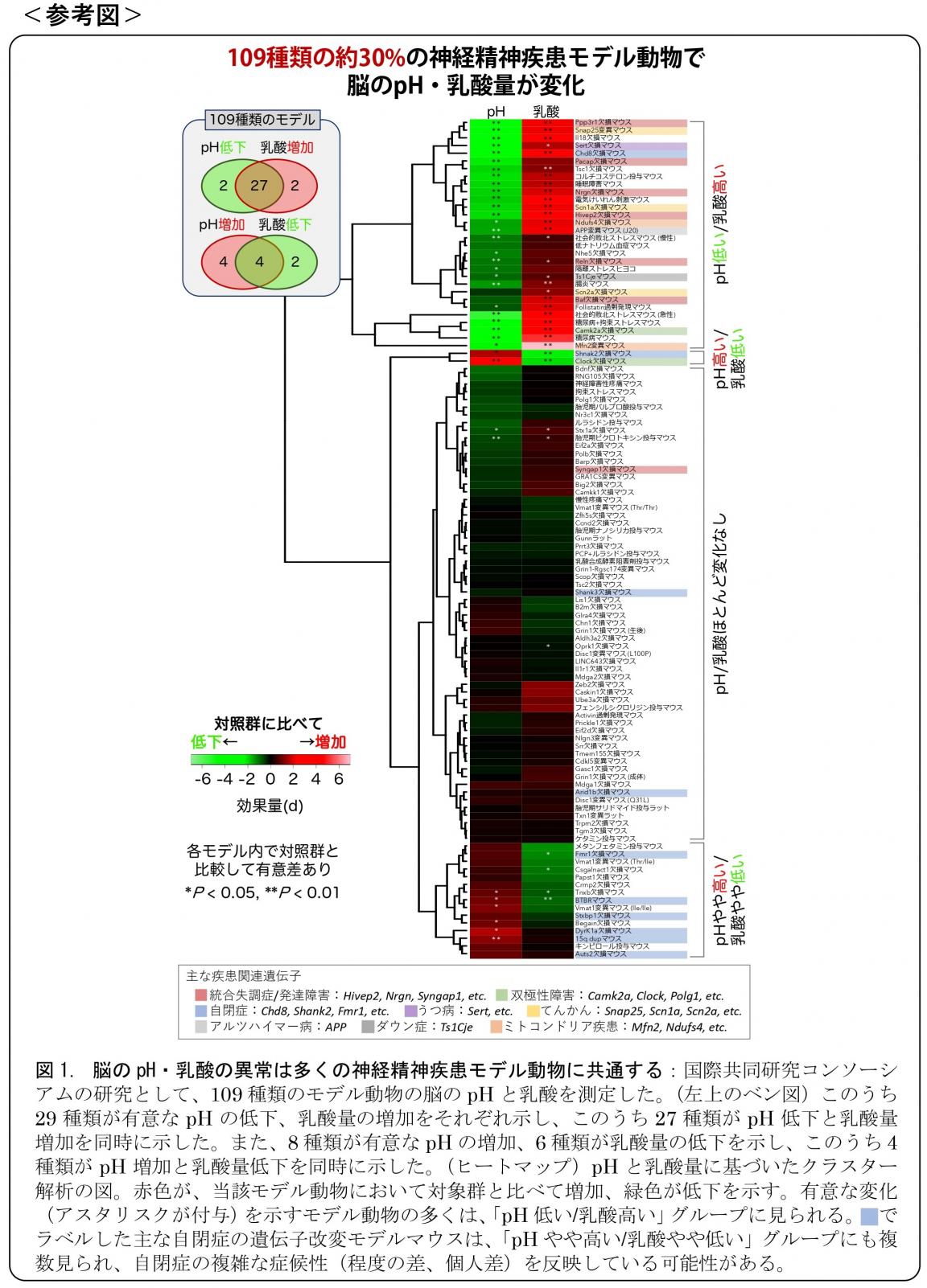 脳が酸性に傾く精神・神経疾患モデル動物を多数発見 | プレスリリース