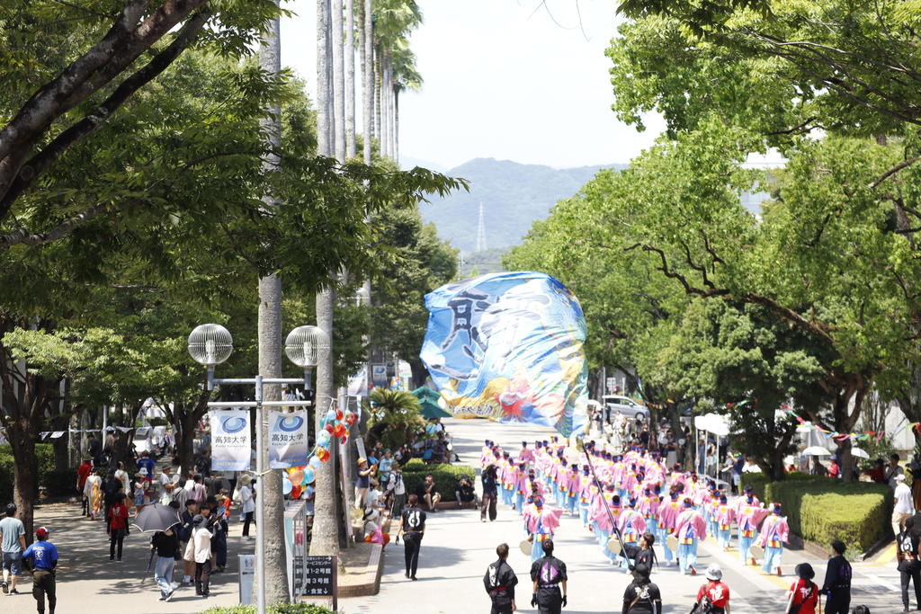 第71回よさこい祭りで「高知大学演舞場」を開設 ― 県内唯一の大学演舞場に延べ2,600人が来場