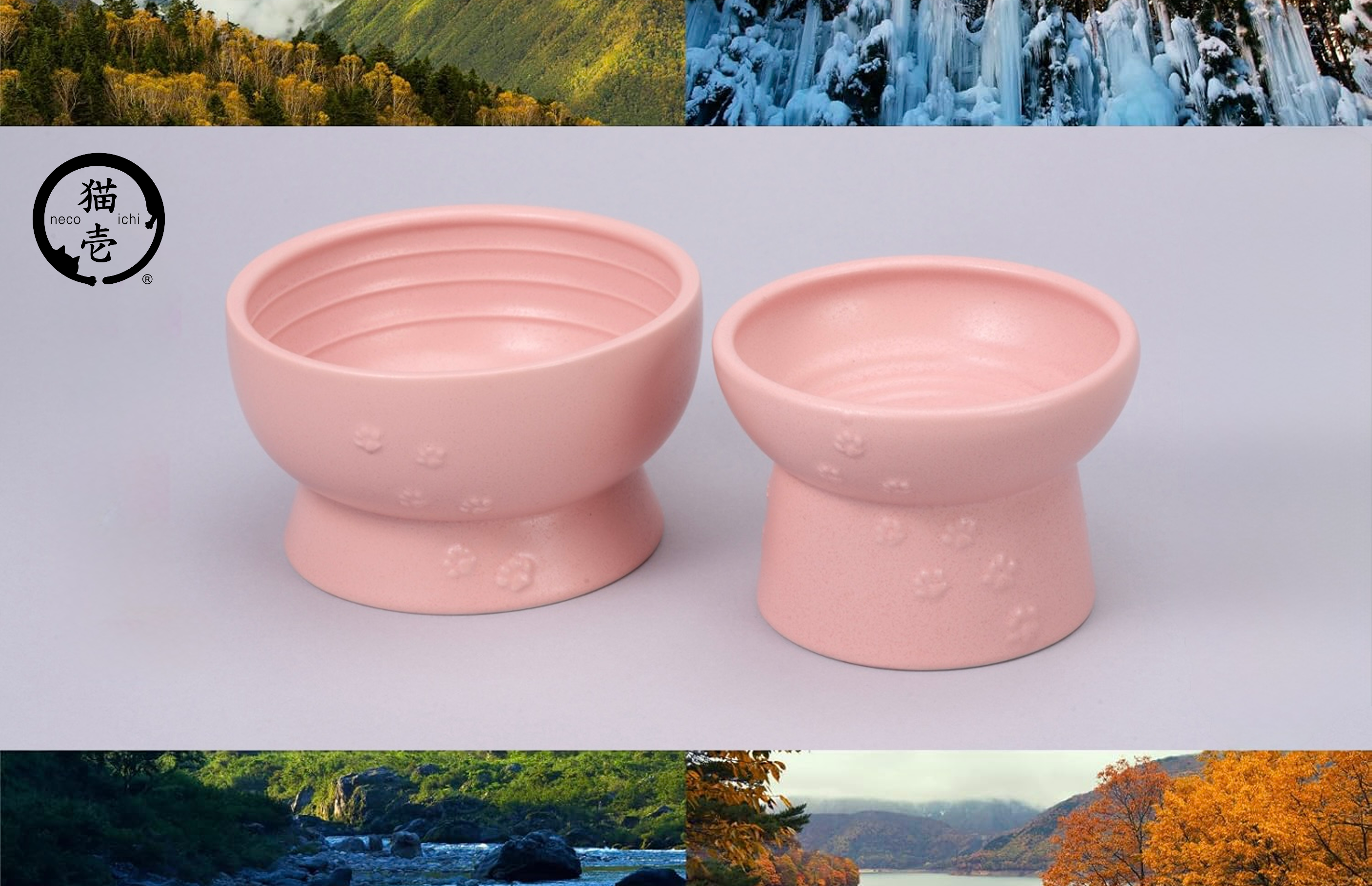 岐阜・多治見で100年。老舗窯元と猫壱がつくった「猫のための日本製