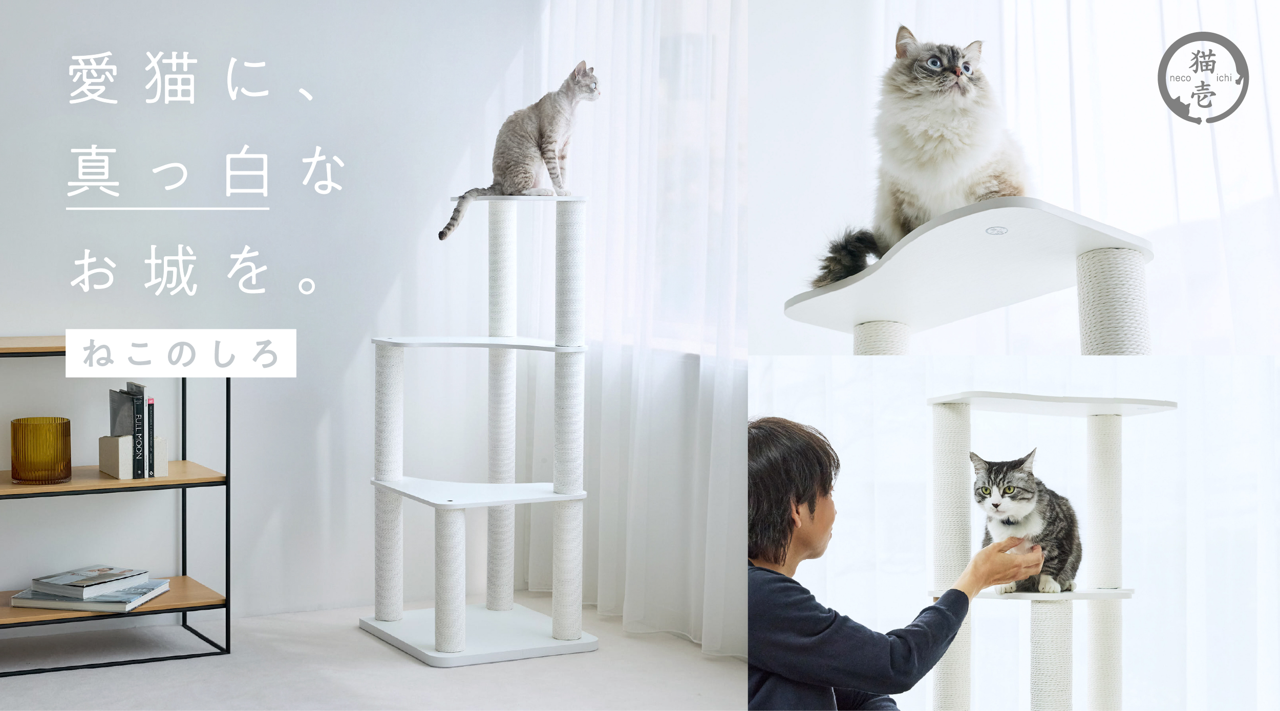 キャットタワー一時募集停止 愛猫、城に住む。くつろぎも、爪とぎも、遊びも、この“しろ”一台で