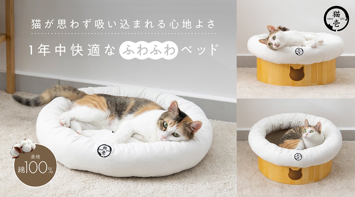 三毛猫屋♡*゜さま 専用 ヒマラヤボウル 4点 三毛猫屋♡*゜さま 専用 ヒマラヤボウル 4点 三毛猫屋♡*゜さま 専用