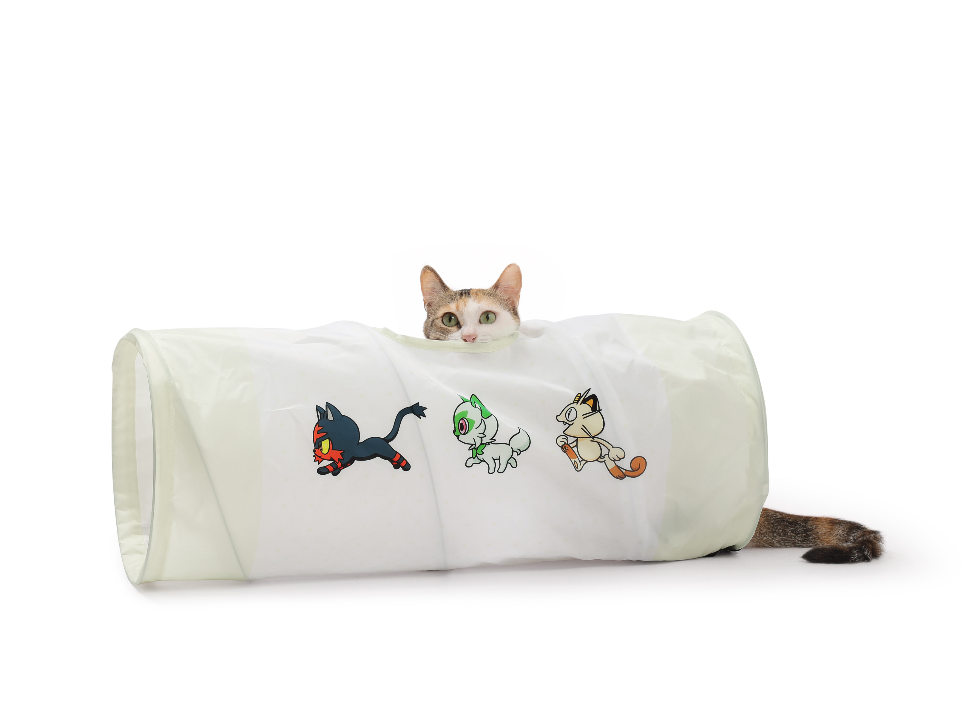 猫壱からポケモンデザインのアイテムが登場！ 全10種類、2026年7月6日