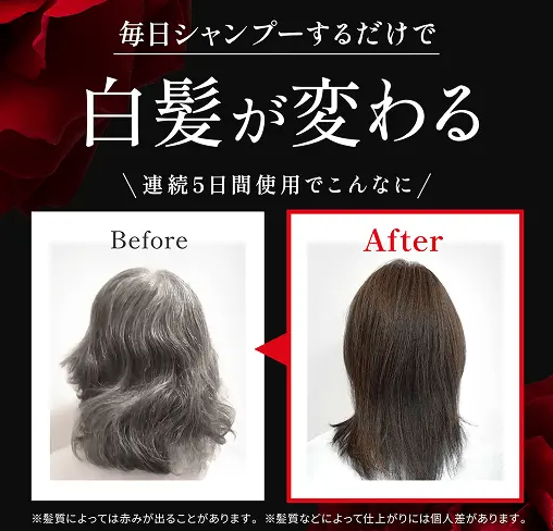 累計販売数350万個*突破の白髪染めシャンプー、バランローズ「KURO