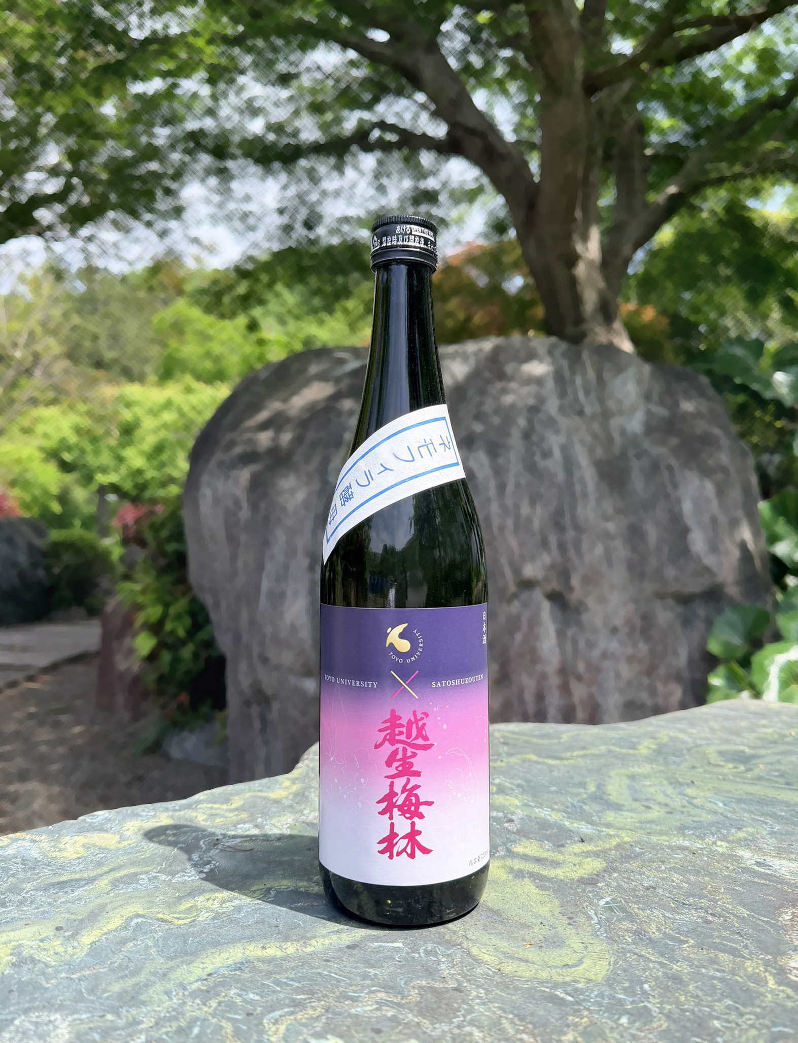 東洋大学×佐藤酒造店 産学連携プロジェクト 毎年異なる花の酵母で醸造