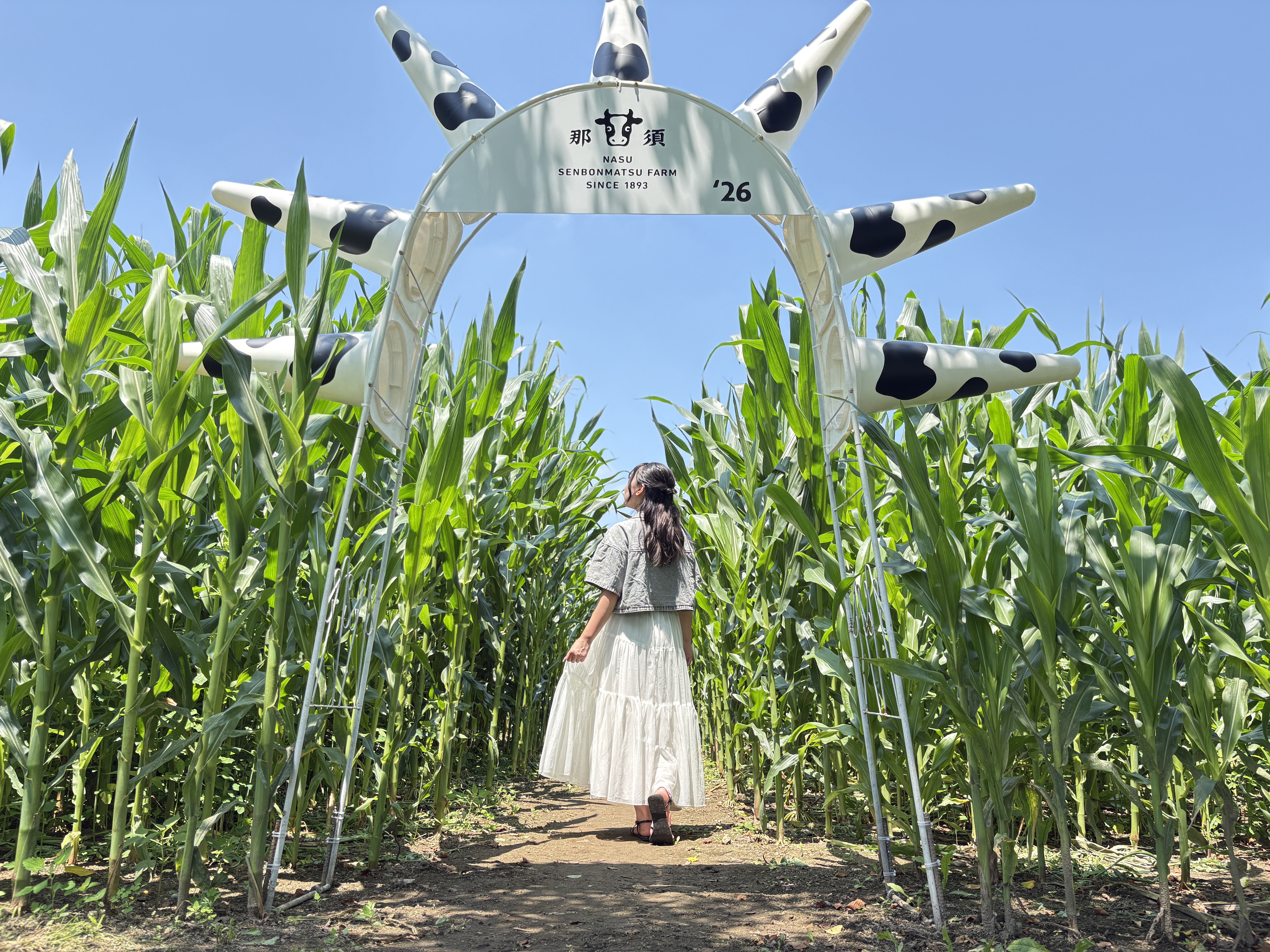 遊ぶ・食べる・涼む・めぐる、夏休みの牧場イベント 那須千本松牧場