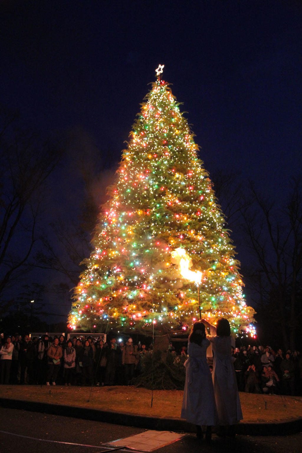 聖学院大学は11月20日にクリスマスツリー点火祭を実施 --クリスマスマーケット、パイプオルガンコンサート、キャンドルナイトを同時開催--