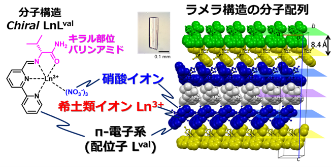 ぴ*つ様 Quantum Creation 水晶化 　波動療法　ソリトロン ぴ*つ様 Quantum Creation 水晶化 波動療法 ソリトロン