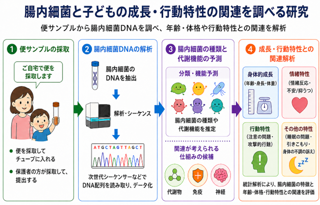 三重大学・金沢工業大学】子どもの発達と腸内細菌の関係を探る。日本の