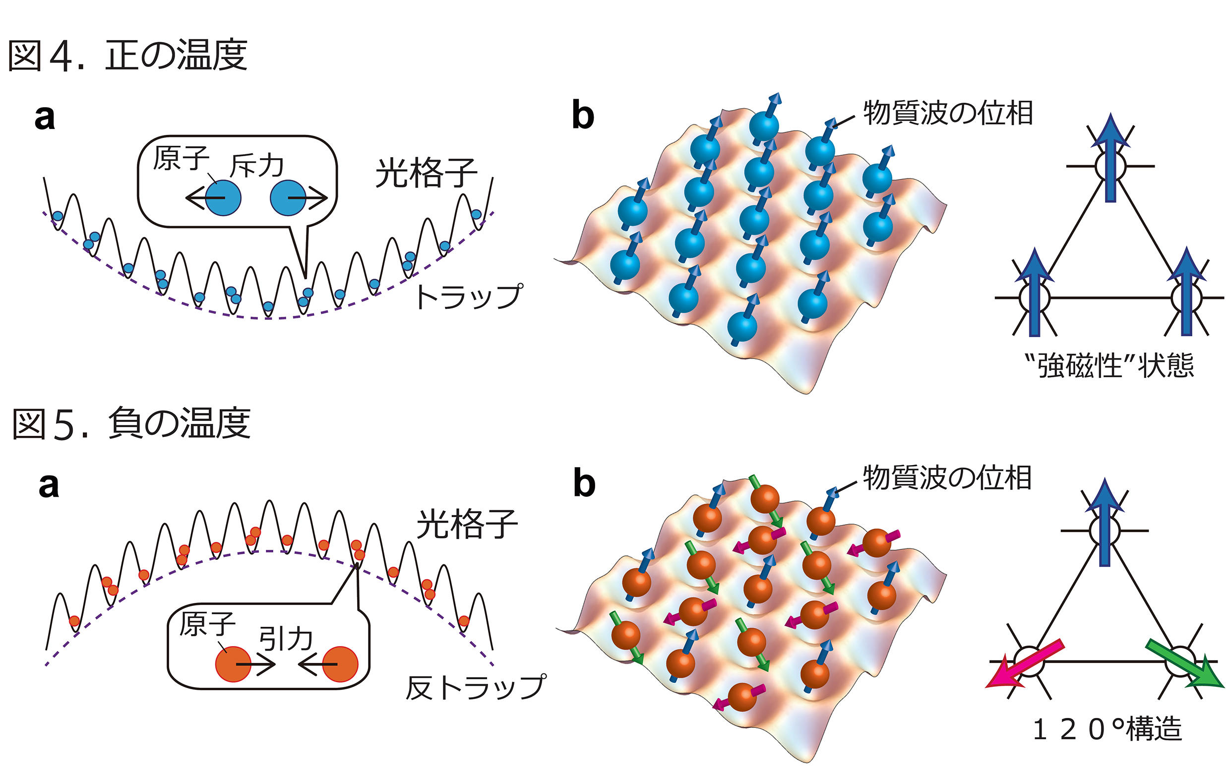 プレスリリース フラストレートした量子磁性体の量子シミュレーション方法を提唱 負の絶対温度をもつ気体の有効利用 Digital Pr Platform 毎日新聞