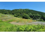 静岡文化芸術大学