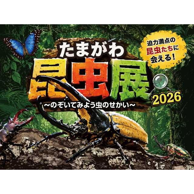 リリース