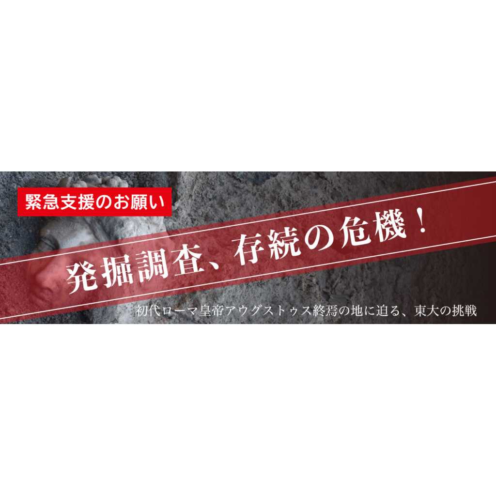 東京大学