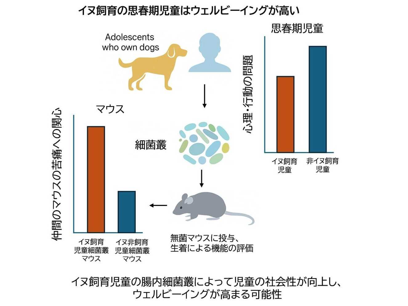 麻布大学、北里大学、日本獣医生命科学大学が獣医学・動物生命科学に