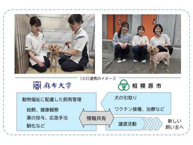 麻布大学、北里大学、日本獣医生命科学大学が獣医学・動物生命科学に
