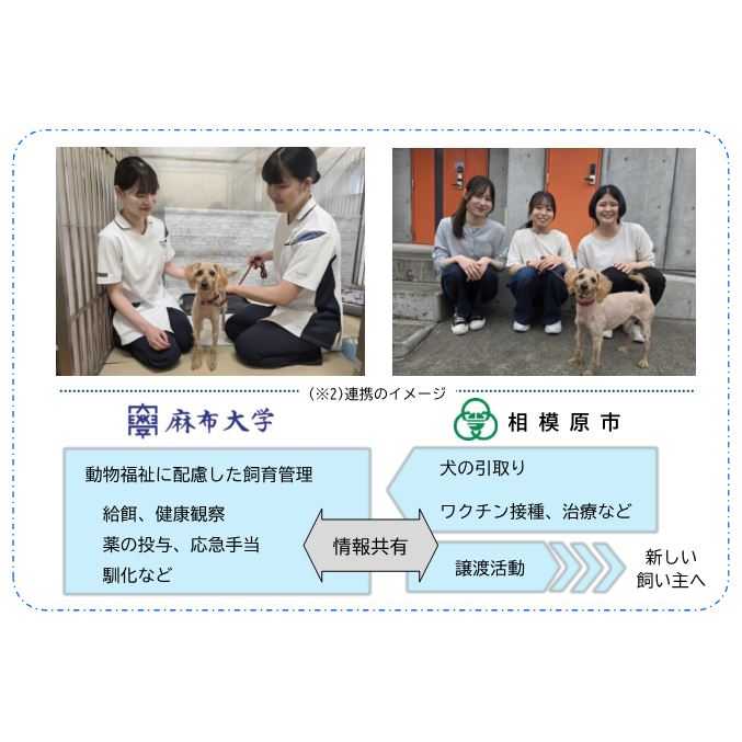 リリース