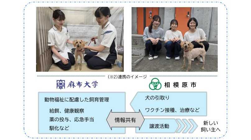 麻布大学