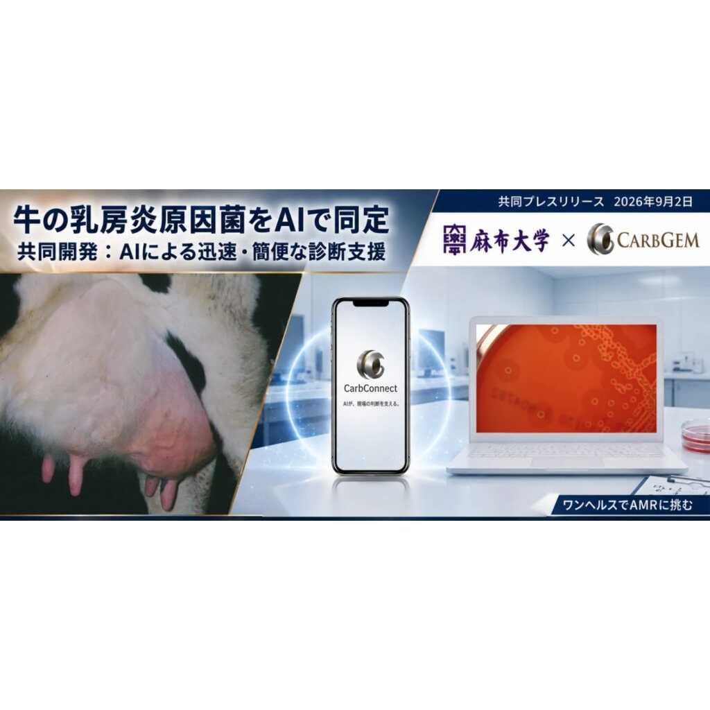 リリース