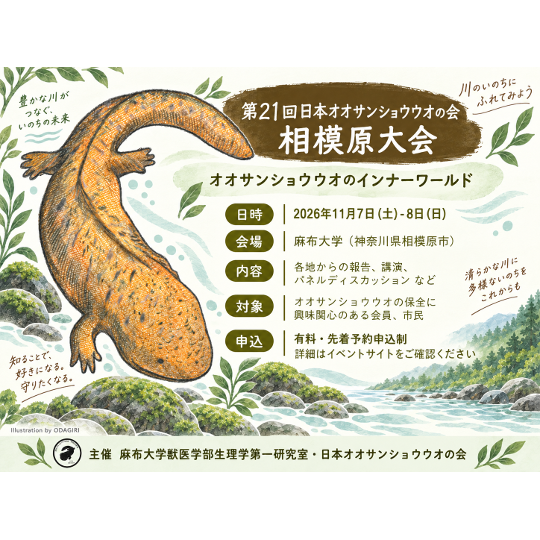 リリース