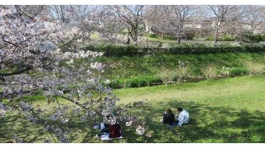 麻布大学