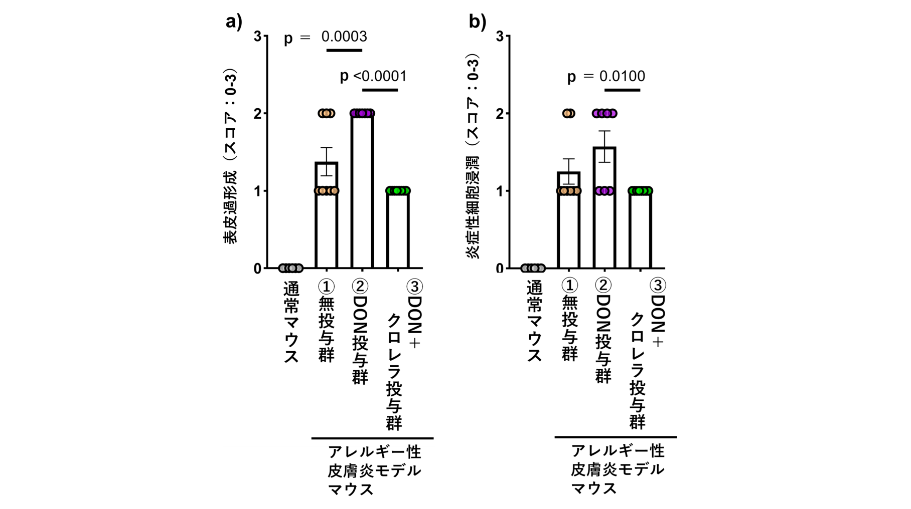 麻布大学