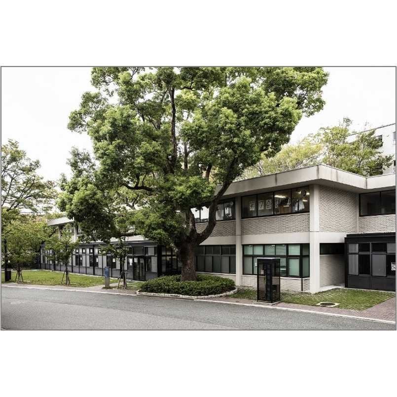 関西大学