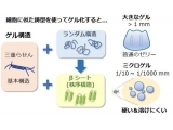 東京農工大学