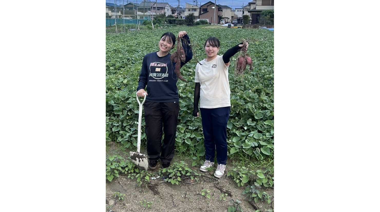 大阪成蹊大学