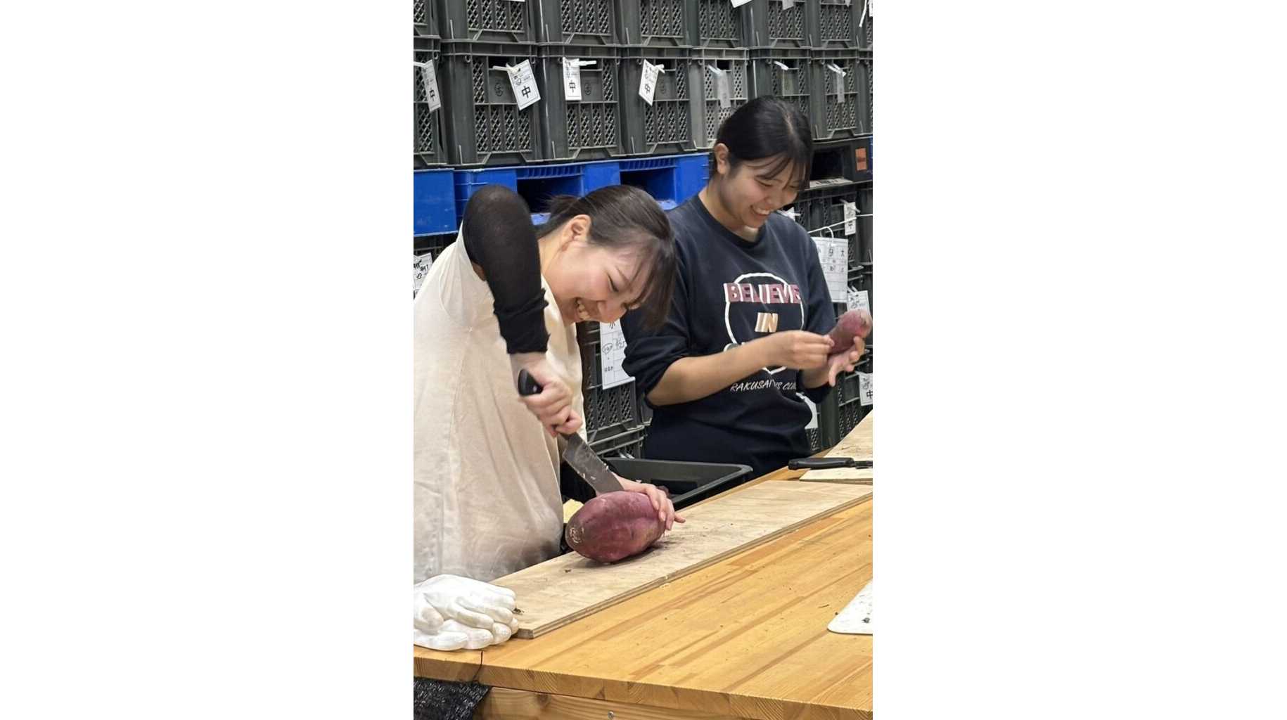 大阪成蹊大学