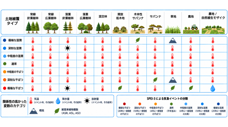 明星大学
