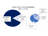 バーチャレクス・コンサルティング株式会社