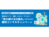 バーチャレクス・コンサルティング株式会社