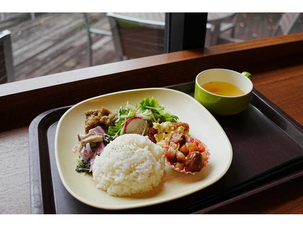 福岡女学院大学