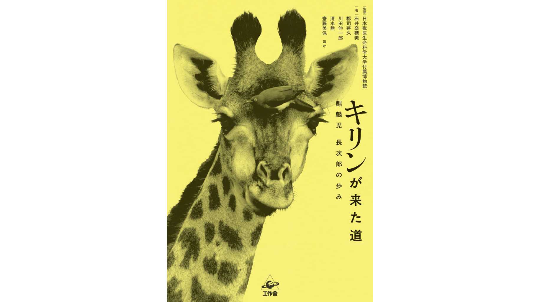 日本獣医生命科学大学