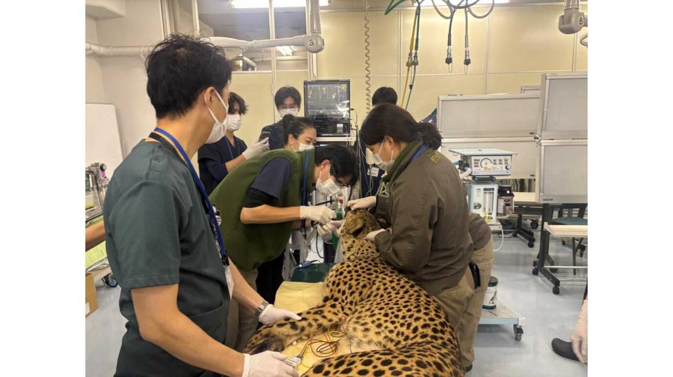 日本獣医生命科学大学