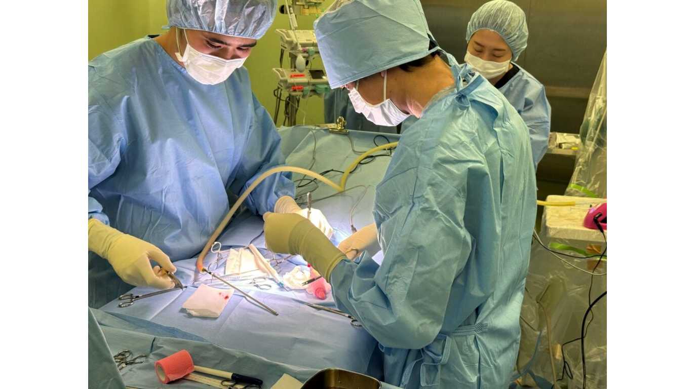 日本獣医生命科学大学