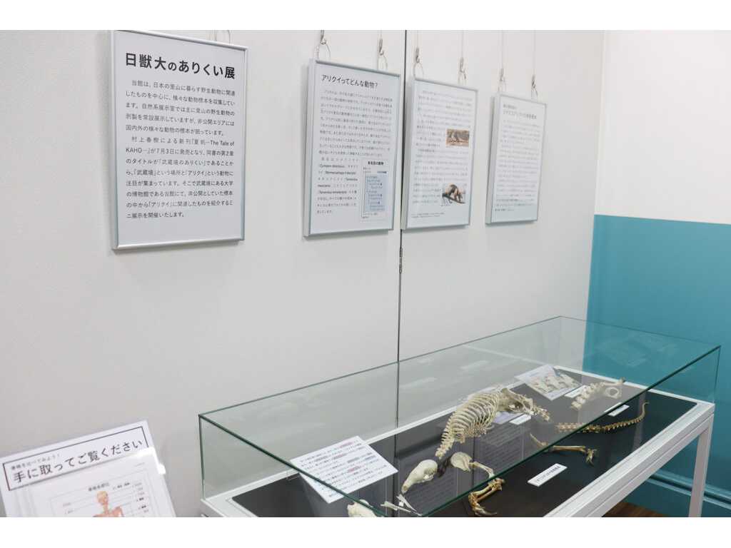日本獣医生命科学大学