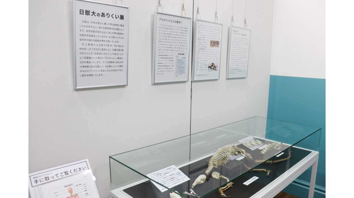 日本獣医生命科学大学