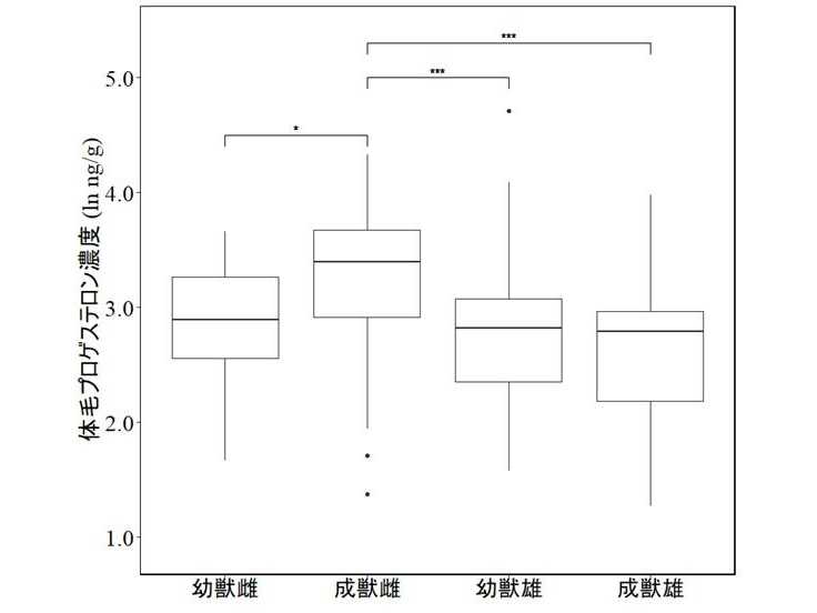 日本獣医生命科学大学