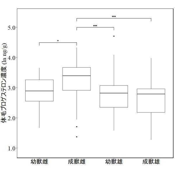 日本獣医生命科学大学