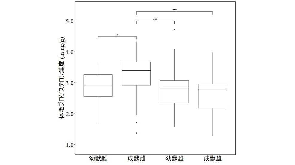 日本獣医生命科学大学